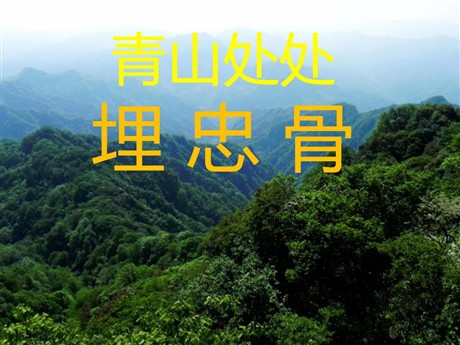 《青山处处埋忠骨》PPT课件下载4