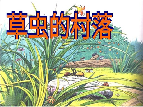 《草虫的村落》PPT课件下载3