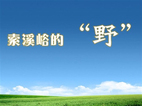 《索溪峪的“野”》PPT课件下载2
