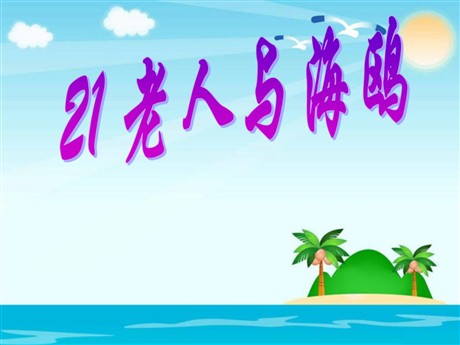 《老人与海鸥》PPT课件下载
