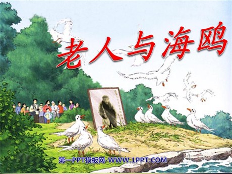 《老人与海鸥》PPT课件下载4