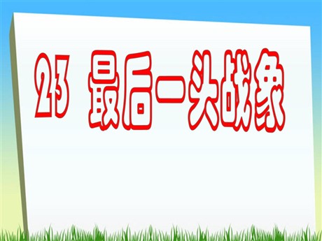 《最后一头战象》PPT课件下载2