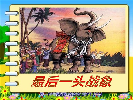 《最后一头战象》PPT课件下载3