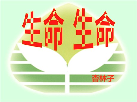 《生命生命》PPT课件