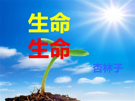 《生命生命》PPT课件2