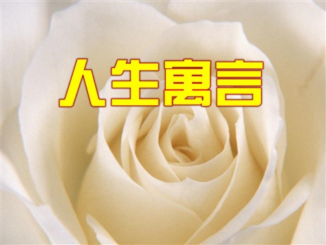 《人生寓言》PPT课件