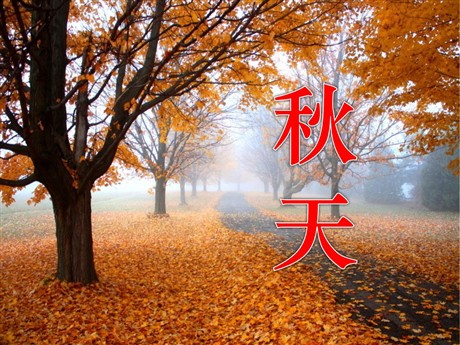 《秋天》PPT课件2