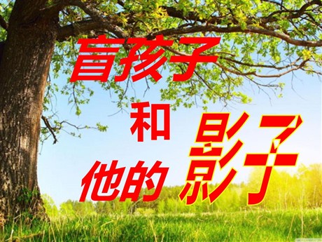 《盲孩子和他的影子》PPT课件2