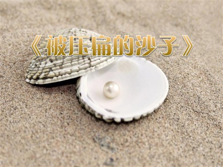 《阿西莫夫短文两篇-被压扁的沙子》PPT课件