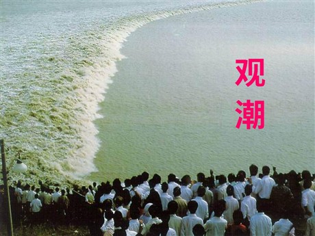 《观潮》PPT课件2