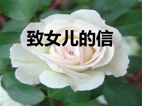 《致女儿的信》PPT课件