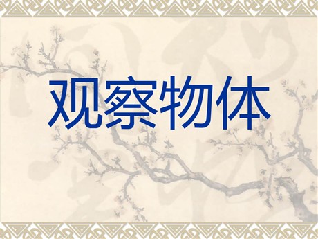 《观察物体》PPT课件下载2