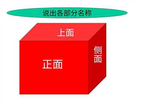 《观察物体》PPT课件下载3