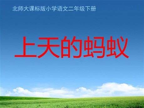 《上天的蚂蚁》PPT课件2