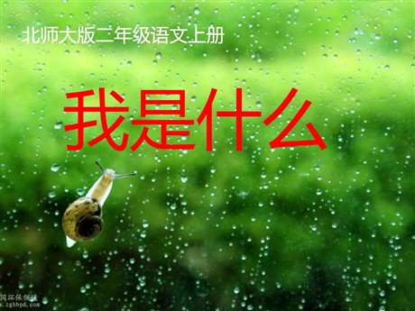 《我是什么》PPT课件2