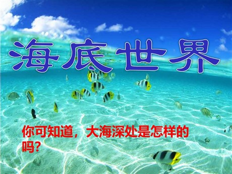 《海底世界》PPT课件