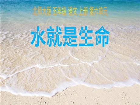 《水就是生命》PPT课件2