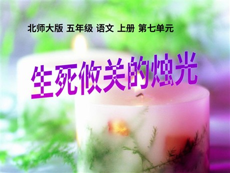 《生死攸关的烛光》PPT课件2