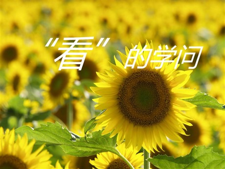 《看的学问》PPT课件