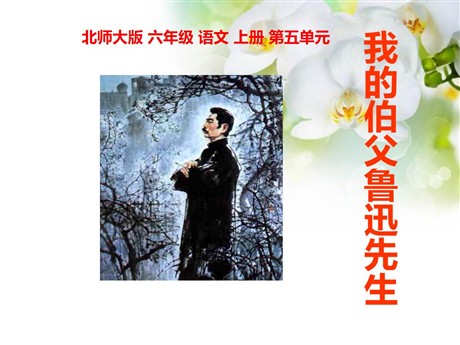 《我的伯父鲁迅先生》PPT课件