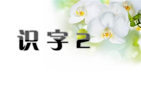 《识字2》PPT课件