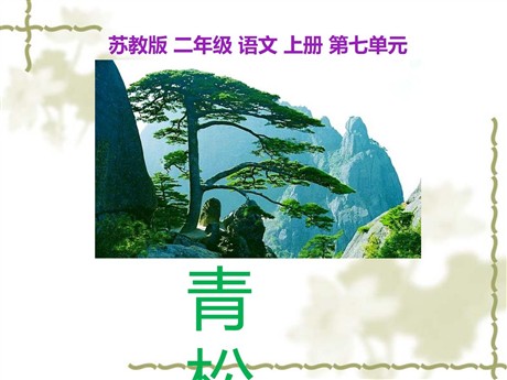 《青松》PPT课件