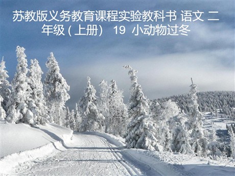 《小动物过冬》PPT课件