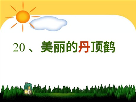 《美丽的丹顶鹤》PPT课件2