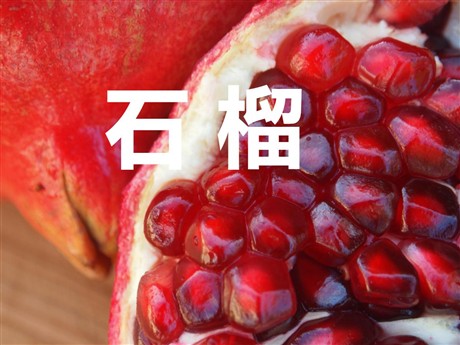 《石榴》PPT课件3