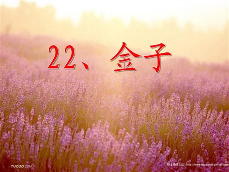 《金子》PPT课件2