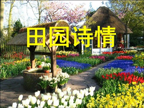 《田园诗情》PPT课件