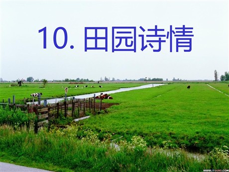 《田园诗情》PPT课件2