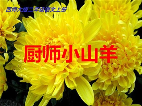 《厨师小山羊》PPT课件2