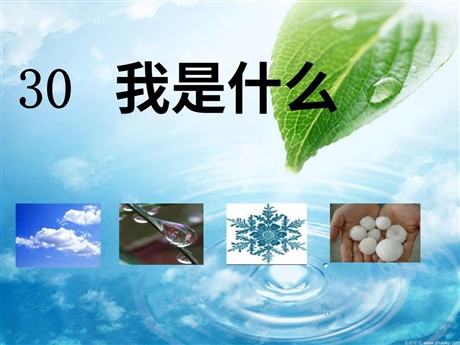 《我是什么》PPT教学课件下载3