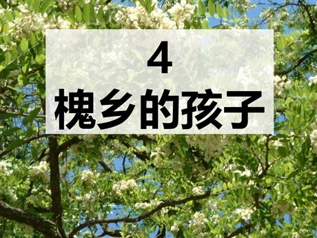 《槐乡的孩子》PPT教学课件下载4