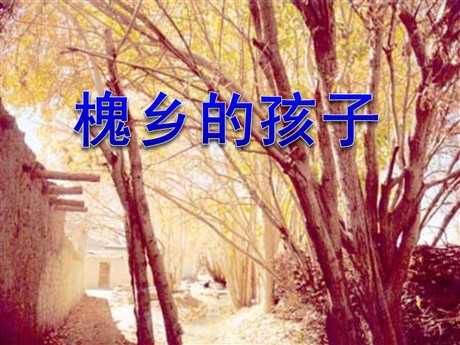 《槐乡的孩子》PPT教学课件下载5