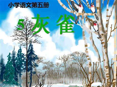 《灰雀》PPT教学课件下载2