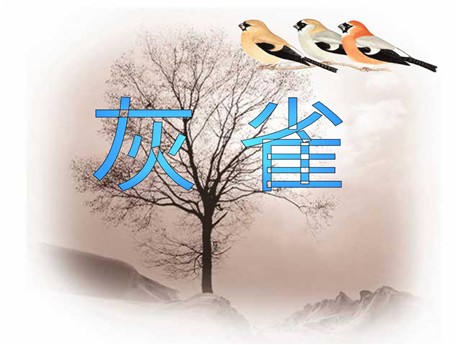 《灰雀》PPT教学课件下载5