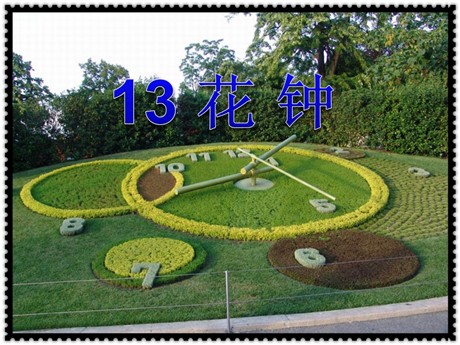 《花钟》PPT教学课件下载4