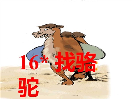 《找骆驼》PPT教学课件下载4
