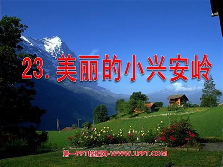 《美丽的小兴安岭》PPT教学课件下载3