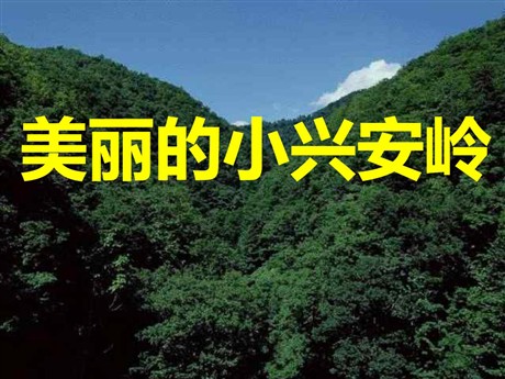 《美丽的小兴安岭》PPT教学课件下载4