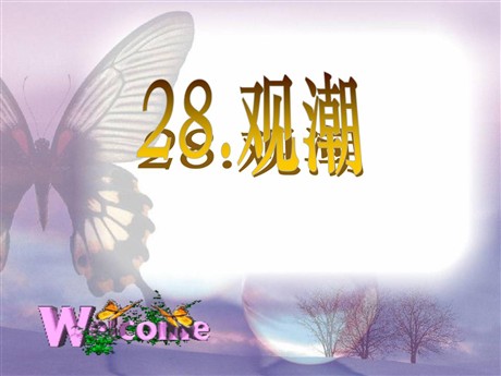 《观潮》PPT课件4