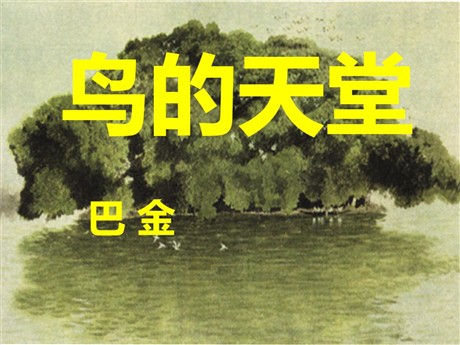 《鸟的天堂》PPT教学课件下载5