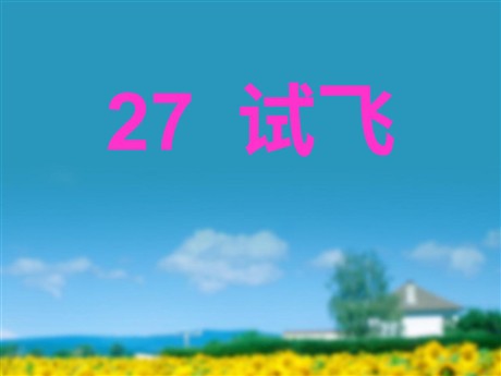 《试飞》PPT课件