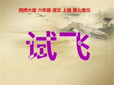 《试飞》PPT课件2