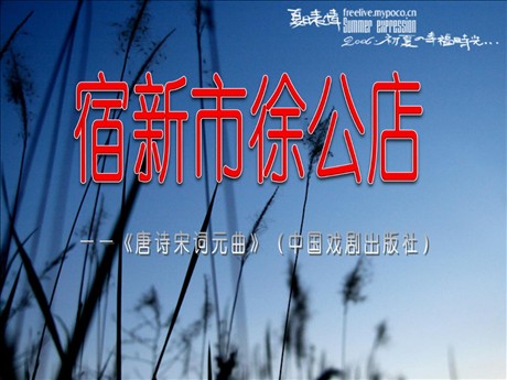 《宿新市徐公店》PPT课件