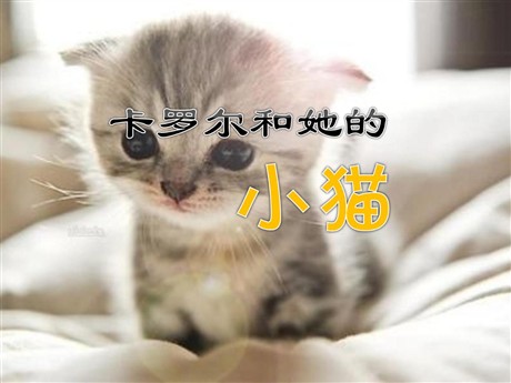 《卡罗尔和她的小猫》PPT课件4