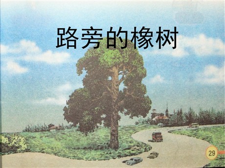 《路旁的橡树》PPT课件4