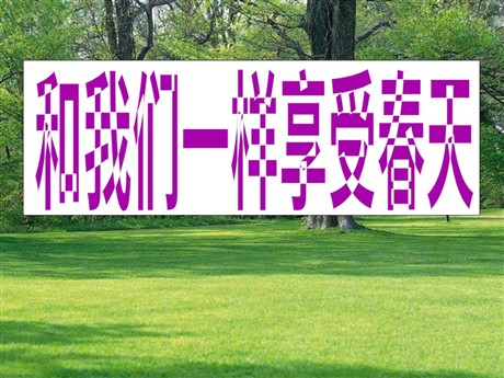 《和我们一样享受春天》PPT课件5